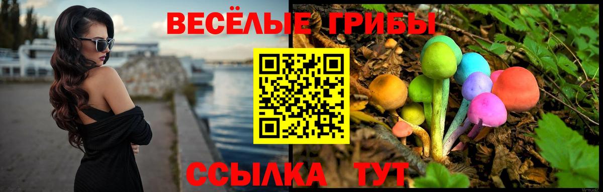 Лесной  Псилоцибиновые грибы GOLDEN TEACHER  Вход с VPN 