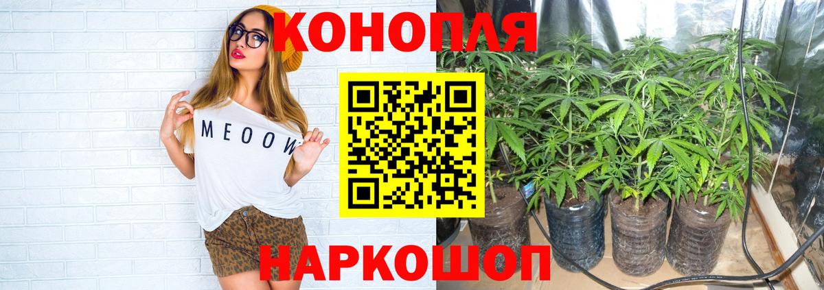 Шишки марихуана LSD WEED Лесной