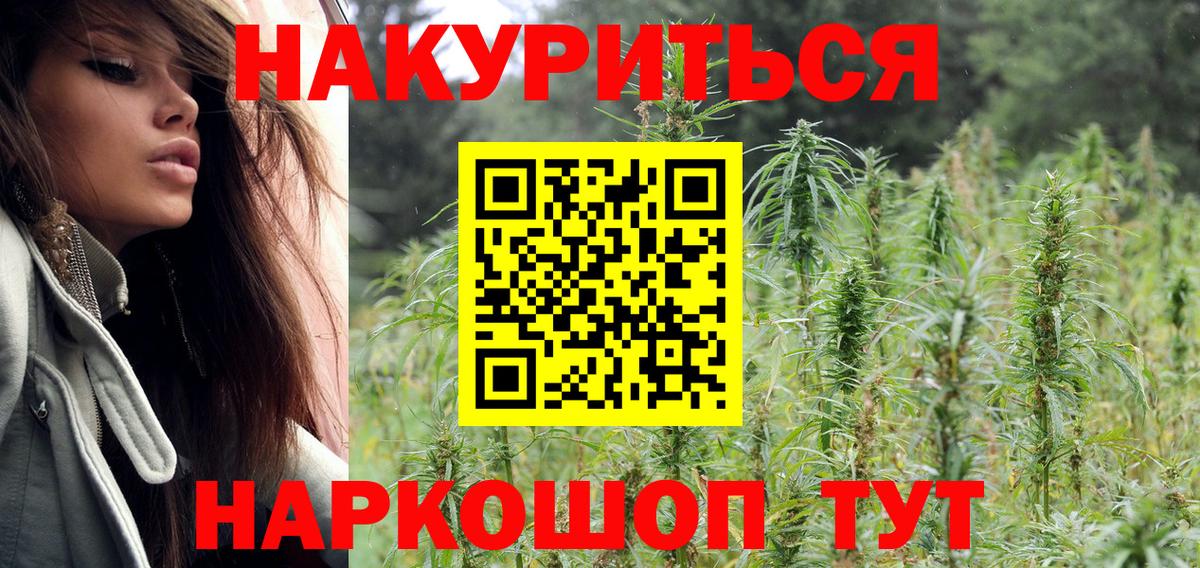 Конопля Bruce Banner  Бошки марихуана сатива  Лесной  Каннабис White Widow  Вход с VPN 
